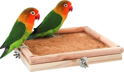 Produktbild von Naturholz-Sitzstange für Papageienkäfige mit Kletter- und Knabbernutzung, Klauenpflegefunktion für Papageien, Falkenparkitäten, Ratten und Parkitäten, 20 x 20 cm.