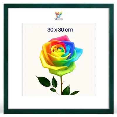 Produktbild von MG Design Bilderrahmen 30 x 30 cm - Posterrahmen mit Grün Holzrahmen (Echtholz) und bruchsicherem Acrylglas, Hoch & Quer mit stabiler Wandaufhängung