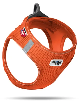 Produktbild von Vest Harness D-Ring Buckle, Mandarin L