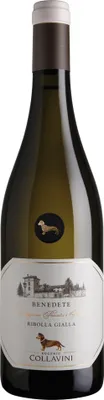 Produktbild von Ribolla Gialla IGT delle Venezie 2024 Friaul-Julisch Venetien | Italien | 12,5% vol | 0,75 l