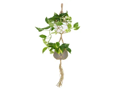 Obrázok produktu pre Artevasi Vešiak na kvetináč MACRAMÉ, dvojitý, 120 cm, Macrame, prírodný