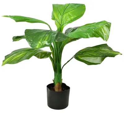 Immagine prodotto di Viridis Kwiat Artificiale, 80 cm, in vaso