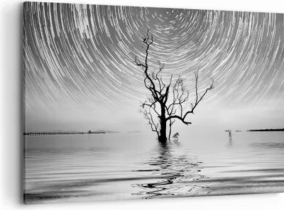 Produktbild von Bild auf Leinwand - Leinwandbild - Einteilig - Schwarzweiß Baum See - 100x70cm - Wand Bild - Wanddeko - Wandbilder - Leinwanddruck - Bilder - Wanddekoration - Leinwand bilder - AA100x70-4253