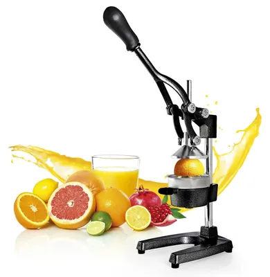 Image de Lumaland Extracteur de jus manuel - stable, silencieux, facile à entretenir - extraire le jus sans effort
