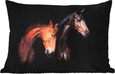 Produktbild von MuchoWow® Outdoor Kissen - Pferde - Tiere - Porträt - Braun - 60x40 cm - Wetterfest - Lounge Kissen - Zierkissen - Kissen für Innenräume