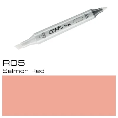 Produktbild von Copic Ciao Typ R - 05
