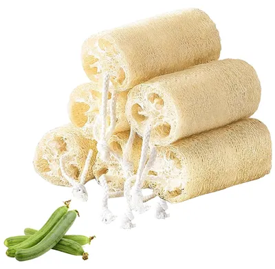 Produktbild von Set mit 6 natürlichen Luffa-Schwämmen für Dusche und Küche