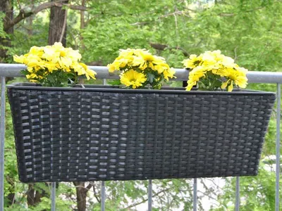 Produktbild von Elegant Einrichten | Pflanzkübel | Polyrattan | rechteckig | 60x19x20cm | schwarz