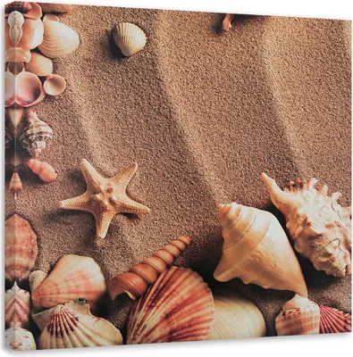 Produktbild von Leinwandbild muscheln auf trockenem sand 50x50 cm Feeby beige wandbild bereit zum aufhängen