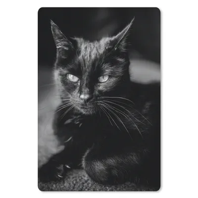 Produktbild von MuchoWow® Mauspad Mousepad Porträt einer schwarzen Katze 40x60 cm - Mousepads - Maus Mat - Pad - Mausunterlage - Schreibtisch Accesoire