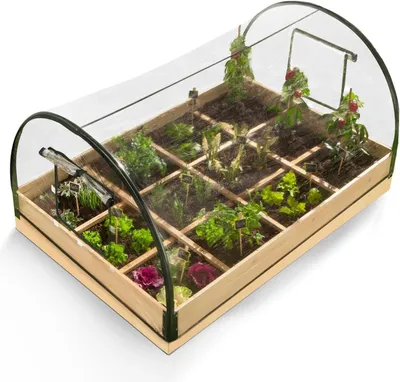 Produktbild von Gemüsegarten mit Gewächshaus - Anzuchtschale mit Deckel - Für den Anbau von Gemüse - 12 Fächeranordnung - 115 x 80 cm - Grün