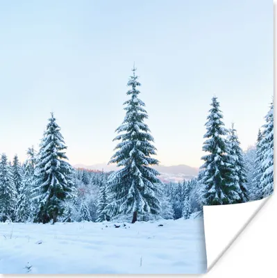 Produktbild von MuchoWow® Poster Winter - Schnee - Bäume 75x75 cm - Wand Dekoration