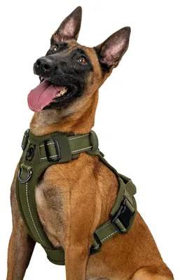Produktbild von Hundegeschirr Taktisch Einstellbar Gepolstert Grün XL