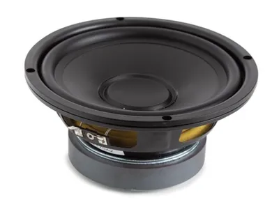 Immagine prodotto di Subwoofer nero per altoparlante, 6,5" / 250 W