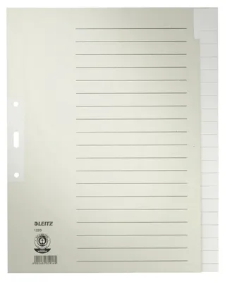 Produktbild von Leitz Register Blanko, Papier, Leerer Registerindex, Papier, Grau, 100 g/m², 240 mm, 300 mm
