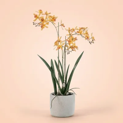 Image de Orchidée Renanthera artificielle de 56 cm en pot – plante artificielle à fleurs jaune-orange dans un pot gris