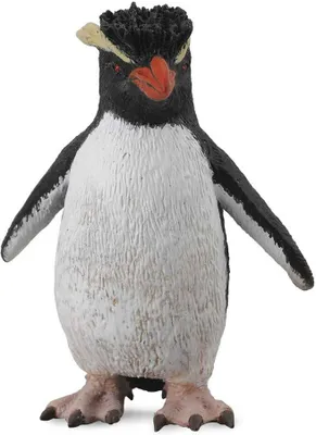 Image de FattyNak