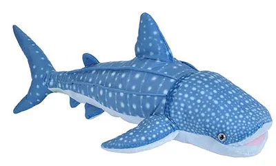 A plush toy whale shark on a white background.
