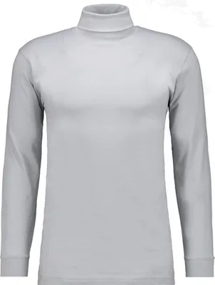 Ragman H-T-Shirt 1/1 Arm Shirt turtle neck in grau