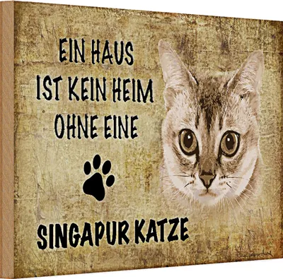 Produktbild von Holzschild Spruch 30x20cm Singapur Katze ohne kein Heim