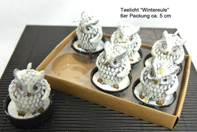 Produktbild von Teelichter Wintereule 6er Packung ca. 5 cm