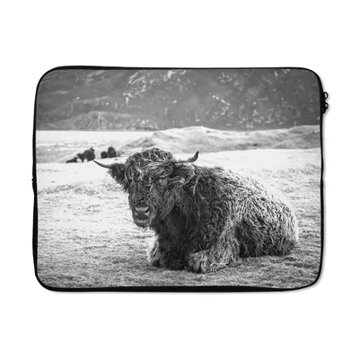 Produktbild von MuchoWow® Laptop Hülle 15 Zoll Schottischer Highlander - Berg - Tiere Laptoptasche - Laptoptasche - Sleeve - Rundum-Schutz