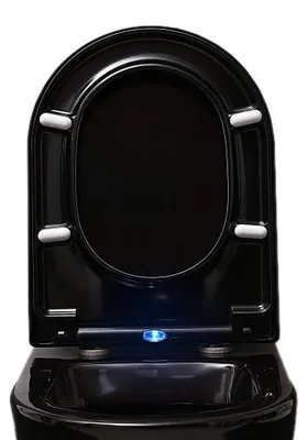 Produktbild von BERNSTEIN Duroplast WC-Sitz U1002 Schwarz mit LED-Beleuchtung & Soft-Close-Funktion – Antibakteriell, Take-Off, Passend für D-Form Toiletten