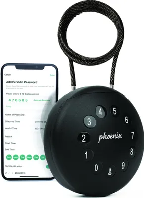 Image de Phoenix Palm KS0212EC Armoires à clés/coffres-forts avec serrure électronique et câble de sécurité