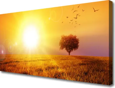 Produktbild von Tulup Leinwand-Bilder 100x50 Wandbild Canvas Kunstdruck Sonne Wiese Landschaft