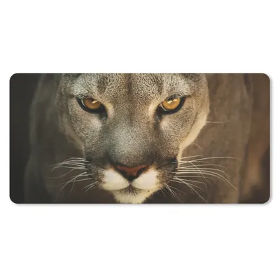 Produktbild von MuchoWow® Mauspad Mousepad Nahaufnahme Puma 60x30 cm - Mousepads - Maus Mat - Pad - Mausunterlage - Nachhaltig
