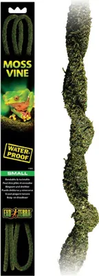 Produktbild von Exo Terra PT3083, Pflanzen, 1 Stück(e)