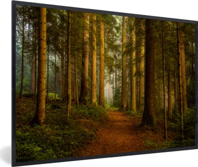 Produktbild von MuchoWow® Gerahmtes Poster Wald - Natur - Bäume - Landschaft - Laub 90x60 cm - Poster mit Schwarzem Bilderrahmen Wandposter Rahmen Foto Bilder - Fotorahmen - Foto-Plakat