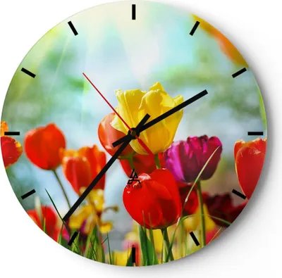 Produktbild von Wanduhr - Rund - Glasuhr - Tulpe Blume Plantage Wiese - 40x40cm - Schleichendes Uhrwerk - Lautlos - zum Aufhängen bereit - Dekoration Modern - Wanddekoration aus Glas - C3AR40x40-2566