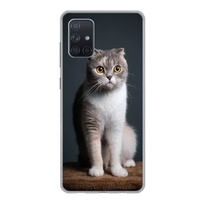 Produktbild von MuchoWow® Handyhülle Schutzhülle Hülle für Samsung Galaxy A51 5G Katze - Haustiere - Licht Silikon Softcase Handy Hülle - Abbildung