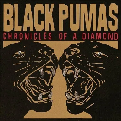 Productafbeelding van Black Pumas: Chronicles Of A Diamond (Limited Edition) (Transparant vinyl) - (LP / Coloured)
