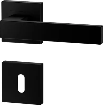 A black door handle and escutcheon plate are shown against a white background.