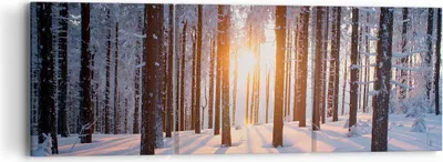 Produktbild von Bild auf Leinwand - Leinwandbild - Wald Winter Schnee - 90x30cm - Wand Bild - Wanddeko - Wandbilder - Leinwanddruck - Bilder - Kunstdruck - Wanddekoration - Leinwand bilder - Wandkunst - CA90x30-3629