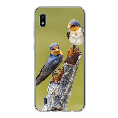 Produktbild von MuchoWow® Handyhülle Schutzhülle Hülle für Samsung Galaxy A10 Vögel - Zweig - Porträt Silikon Softcase Handy Hülle - Schutzhülle