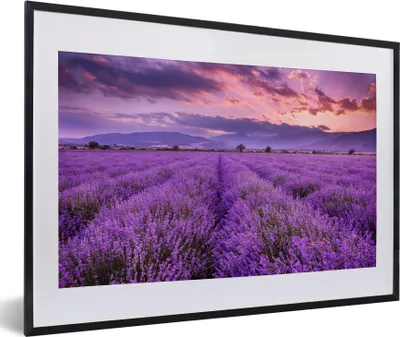 Produktbild von MuchoWow® Gerahmtes Poster Lavendel - Lila - Blumen - Feld 60x40 cm - Poster mit Schwarzem Bilderrahmen Wandposter Rahmen Foto Bilder - Schlafzimmer - Plakat in Rahmen - Drucken