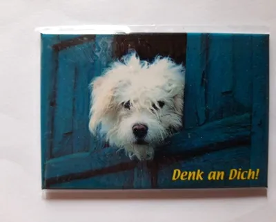 Produktbild von Magnet Hund, Denk an Dich!, 8 x 5,5 cm, Kühlschrankmagnet Tiere Hunde