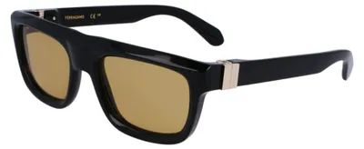 Produktbild von Brillen Ferragamo sf2009s011