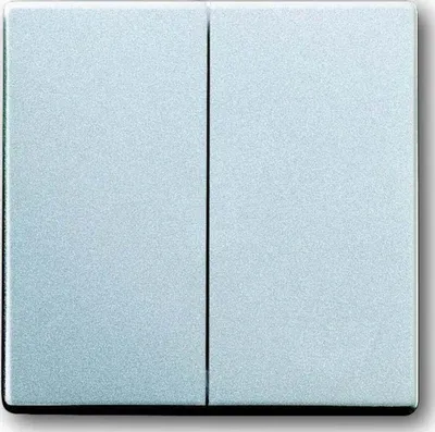 Obrázok produktu pre Busch-Jaeger 1751-0-2942, Tlačidlá, Strieborná, 63 mm, 63 mm, 1 kusov