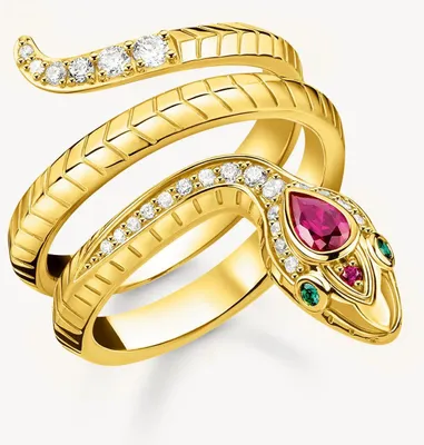 Produktbild von Thomas Sabo Apple & Snake TR2305-488-7 Damenring, Ringgröße:54