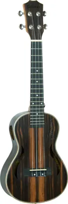 Zdjęcie produktu dla Ukulele Gilmour z kluczem koncertowym