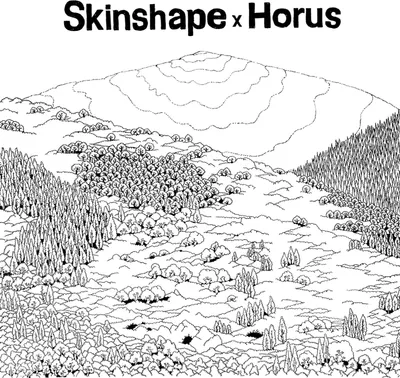 Produktbild von Skinshape X Horus