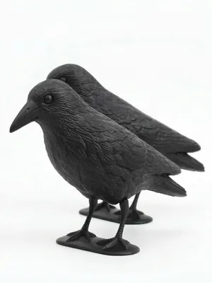 Produktbild von 2x Taubenabwehr Rabe aus Kunststoff – Vogelabwehr Krähe Attrappe, Taubenschreck für Balkon, Garten, Dach und Terrasse, natürliche Abwehr gegen Tauben