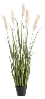 Produktbild von Emerald Künstliches Pampasgras - Luis | 130 cm, für drinnen, Kunstpflanze, wie echt, Allergiker geeignet, pflanzliche Dekoration Praxis, Office & Wohnzimmer