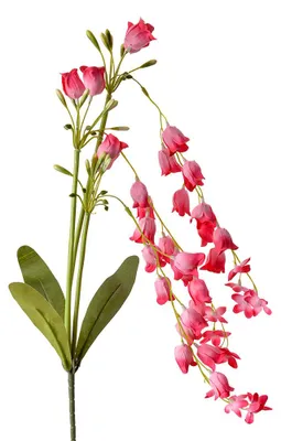Imagen del producto de Clayre & Eef, flor artificial, 80 cm, color rosa, de plástico