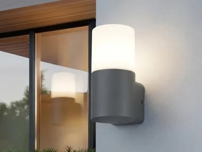 Obrázek produktu pro Venkovní nástěnné svítidlo HOOSIC 224060142 Trio