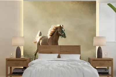 Produktbild von MuchoWow® Fototapete für Wohnzimmer oder Schlafzimmer Wandtapete Vinyl Motivtapete Pferd - Sand - Nebel - 280x280 cm - Hintergrundbild